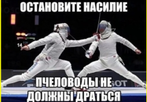 collage (568).png