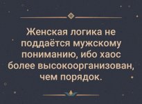 1711177256477.jpeg