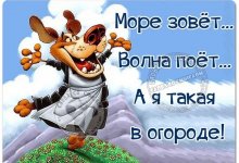 1711177277857.jpeg