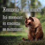 1711559161053.jpeg