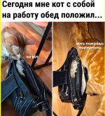 collage (1048).png