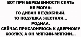 434346995_749683907285538_4285968763862746584_n (1).jpg