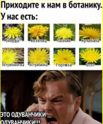 collage (1220).png