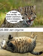 1000011076.jpg