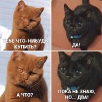 1000011074.jpg