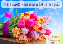 IMG_2895.jpeg