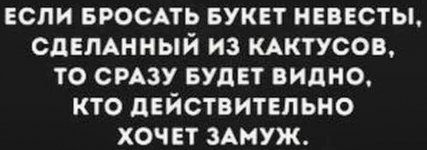 434145028_428398629638380_141088818922984642_n.jpg