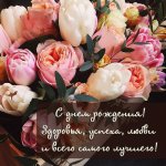 IMG_2897.jpeg
