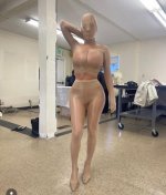 IMG_2567.jpeg