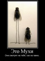 IMG_2758.jpeg