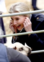 gettyimages-2148986420-612x612.jpg