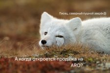 1696558063_gas-kvas-com-p-kartinki-pisets-21.jpg