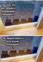 1713546411684.png