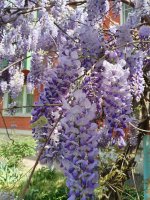 IMG_20240417_095619.jpg