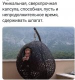 55950159_original.jpg
