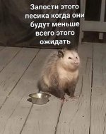 55952081_original.jpg