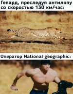55952942_original.jpg