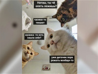 1714046708750.png