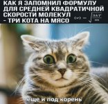IMG-44de5dca5f656fe6dbf4d4bb53770282-V.jpg