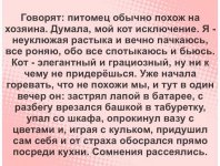 IMG-080e3e8cff11c61280f87848daf64bc4-V.jpg
