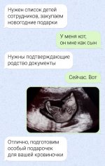 кот кровиночка.jpg
