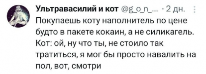 IMG_2903.png