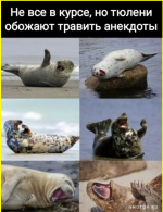 collage (73).png
