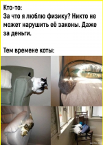 collage (66).png