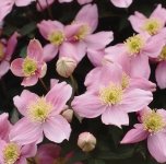 IMG_2913.jpeg