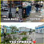 collage (143).png