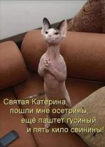 IMG-883c5c4338296ccf696504aa036620b0-V.jpg