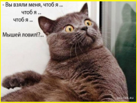 image (1396).png
