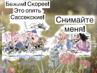 IMG_2975.jpeg