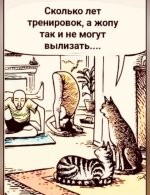 IMG_3084.jpeg