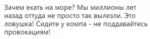 56492600_original.jpg