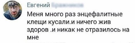 56492931_original.jpg