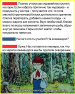 image (2784).png