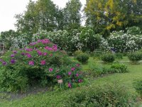 IMG_20240523_201226.jpg