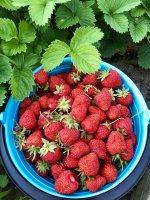 IMG_1768.jpeg