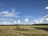 IMG_2005.jpeg