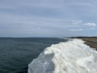 IMG_0104.jpeg