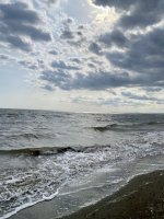 IMG_8961.jpeg