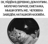 341001_600.jpg