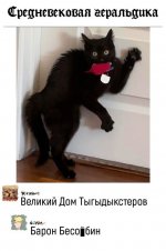 310776_900.jpg