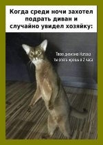 IMG-2799ea140e986b6ed8a740842f5c0591-V.jpg