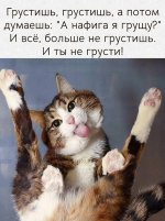 IMG-440cbcbafee0e74cb819842e5cd0df09-V.jpg