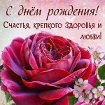 trumb-pic-503040.jpg