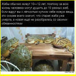 collage (246).png