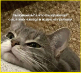 collage (385).png