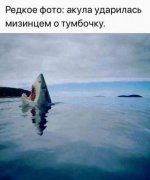 3grk5gkkg6.jpg